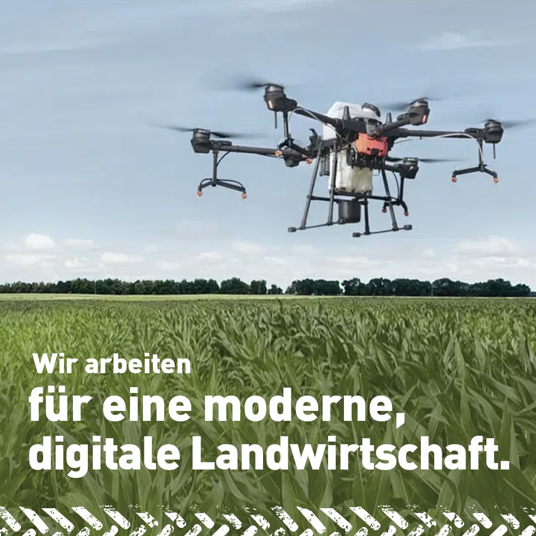Galleriebild